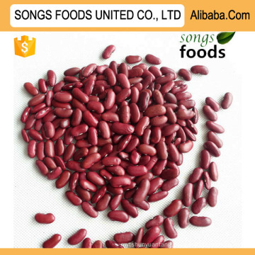 Clean And Healthy Dark Red Kidney Beans